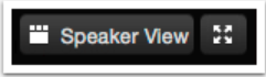 speaker view button